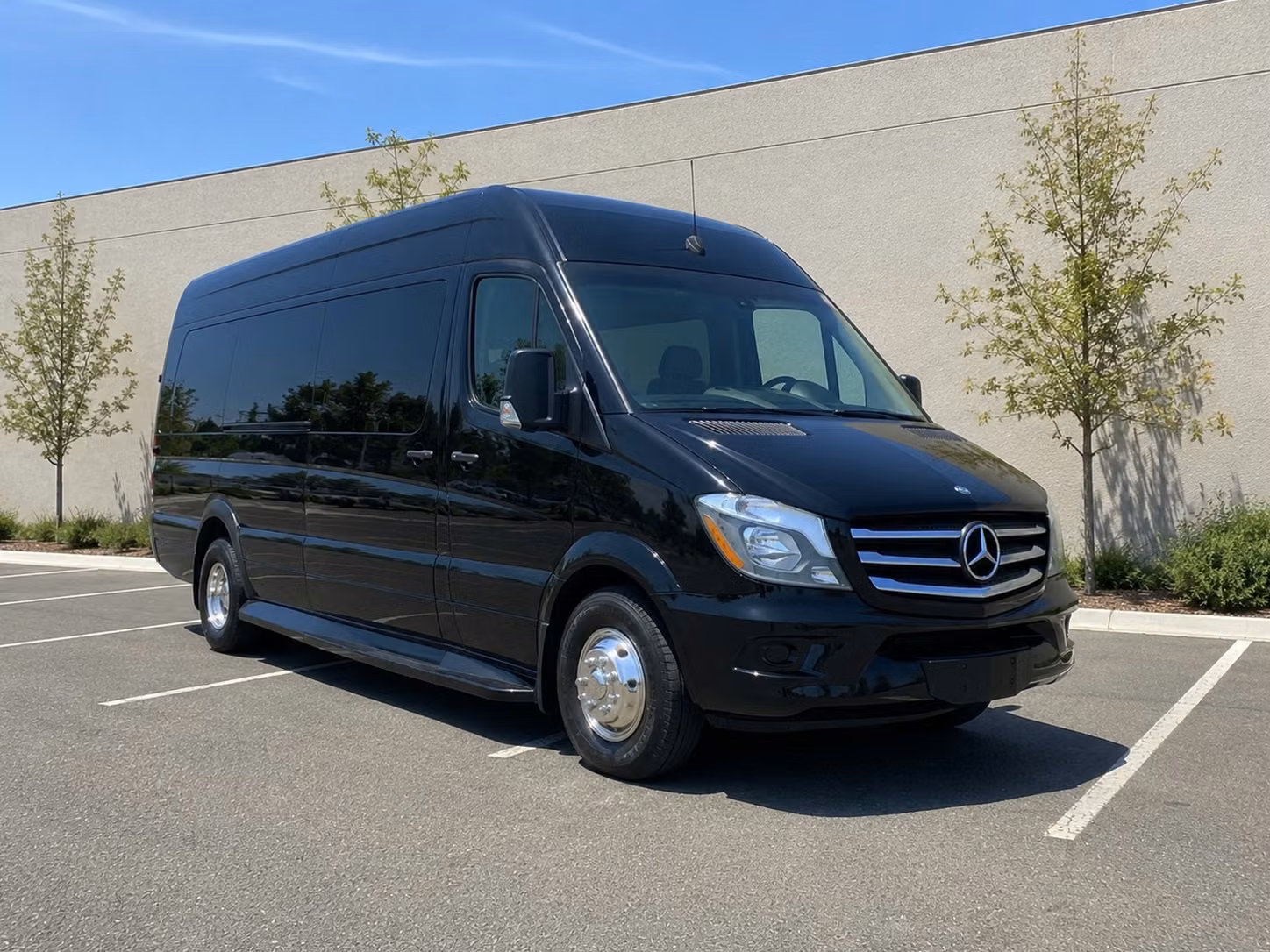 minneapolis sprinter limo rental